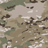 Multicam